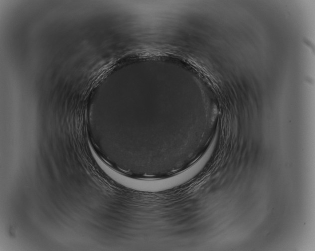 X0000091881348200709051316
