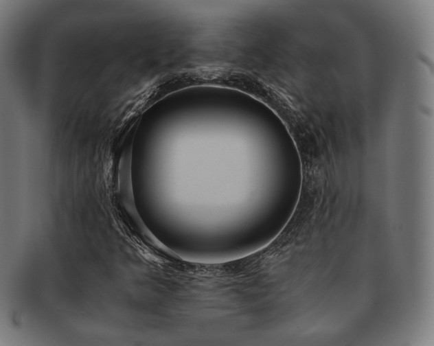 X0000091881349200709051316