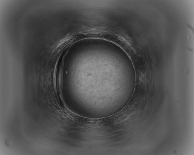 X0000091881350200709051316