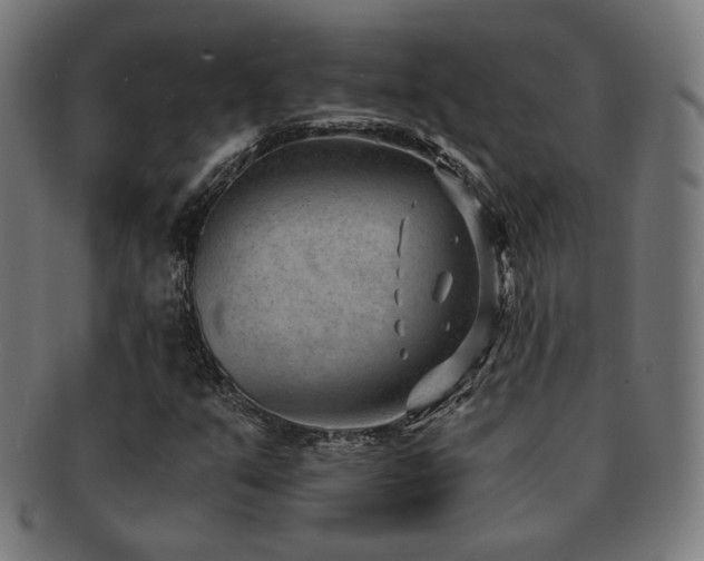 X0000091881351200709051316