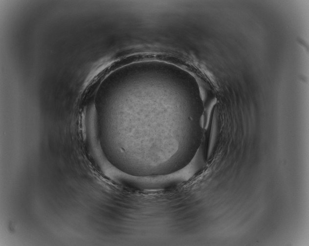 X0000091881352200709051316