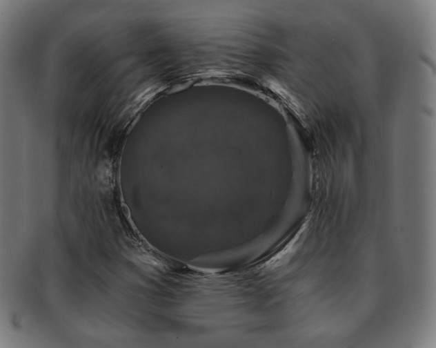 X0000091881353200709051316