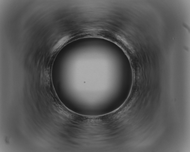 X0000091881354200709051316