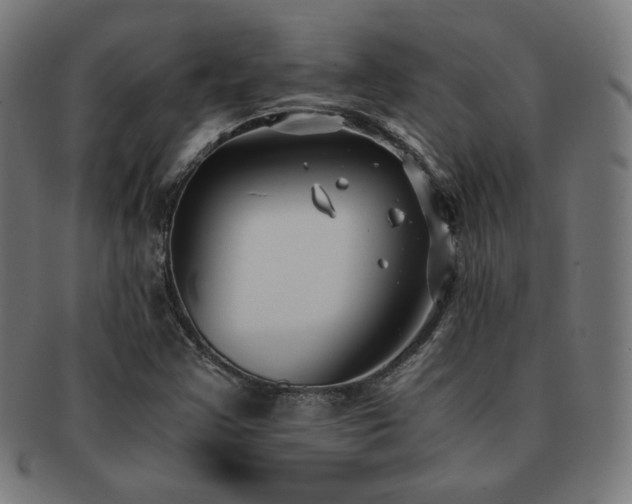X0000091881355200709051316