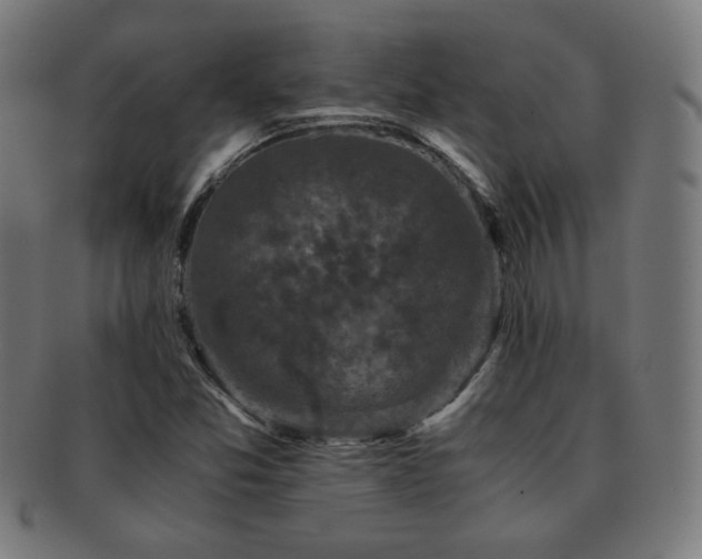 X0000091881357200709051316