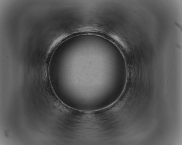 X0000091881358200709051316