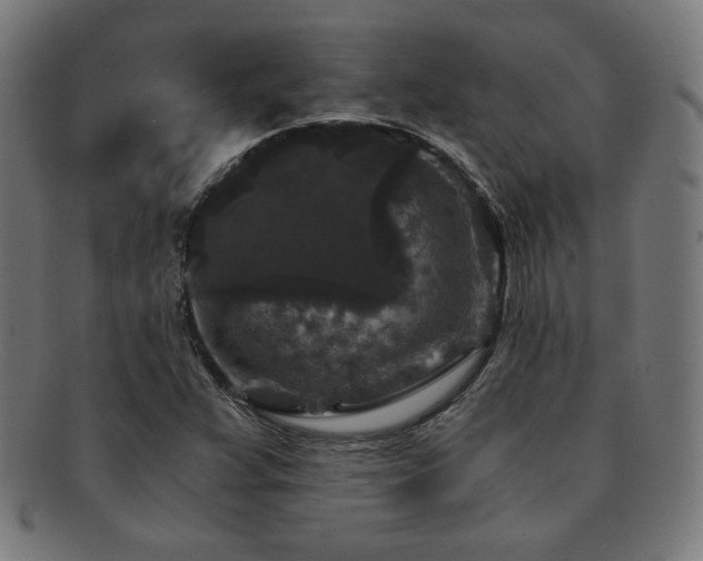 X0000091881359200709051316