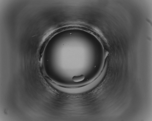 X0000091881360200709051316
