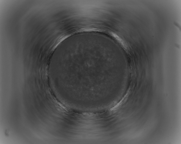 X0000091881361200709051315