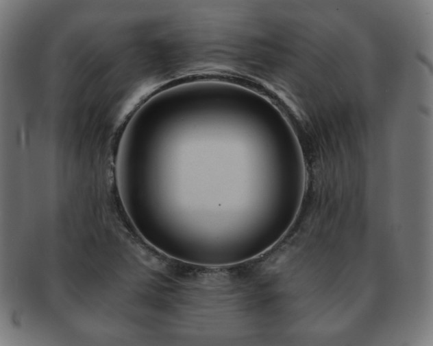 X0000091881363200709051315