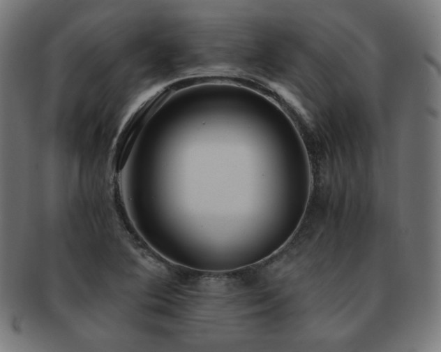 X0000091881364200709051315