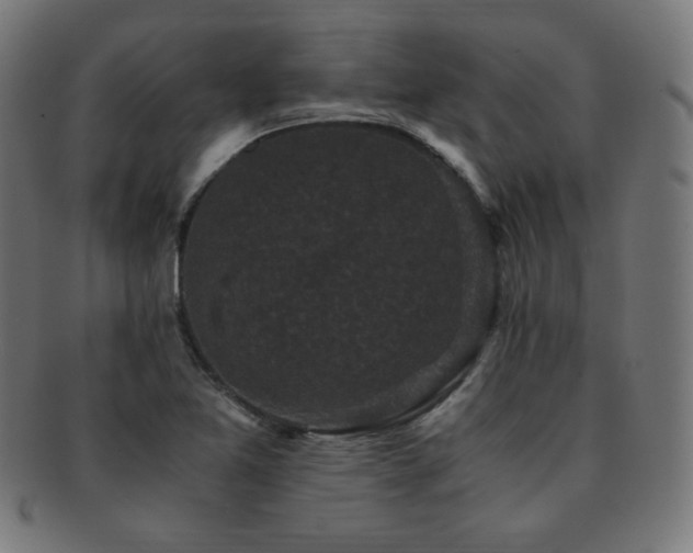 X0000091881365200709051315