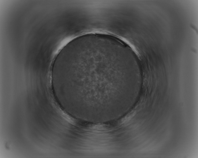 X0000091881367200709051315