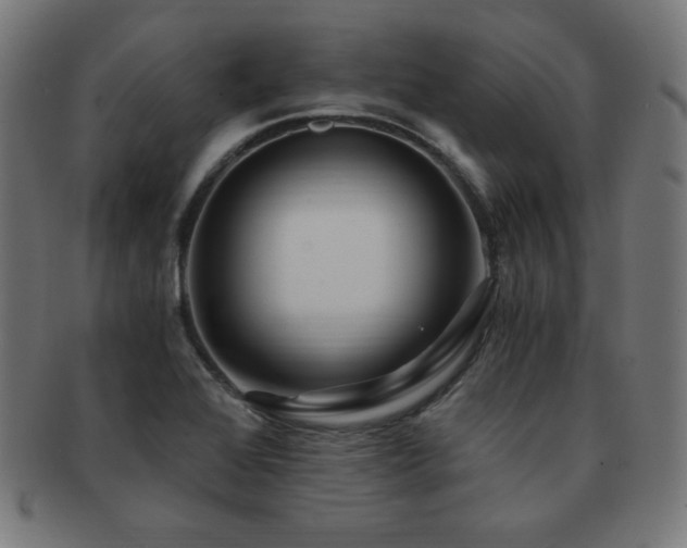 X0000091881368200709051315