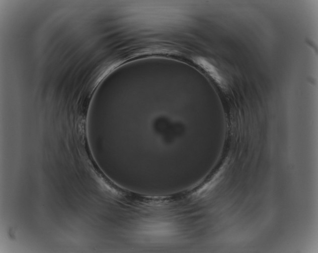 X0000091881369200709051315
