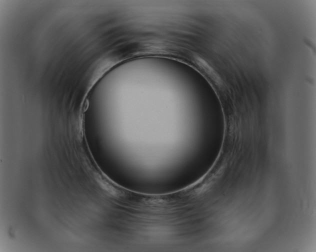X0000091881370200709051315