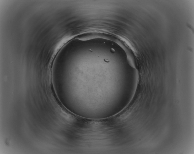 X0000091881371200709051315