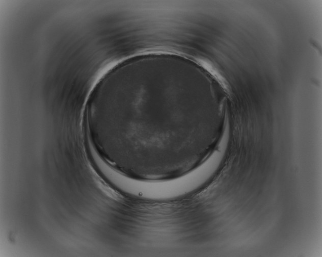 X0000091881372200709051315