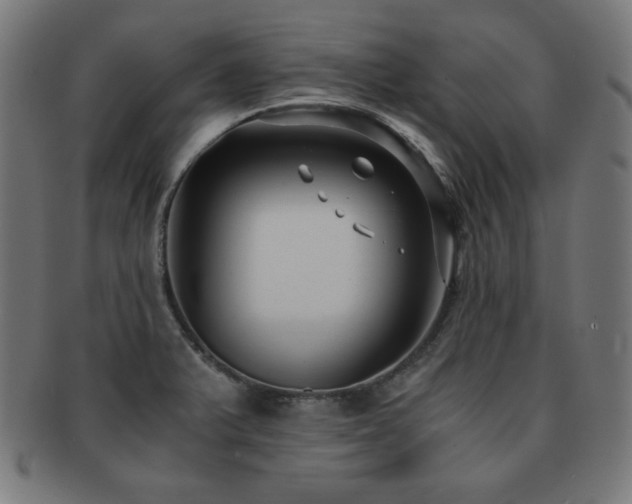X0000091881375200709051315