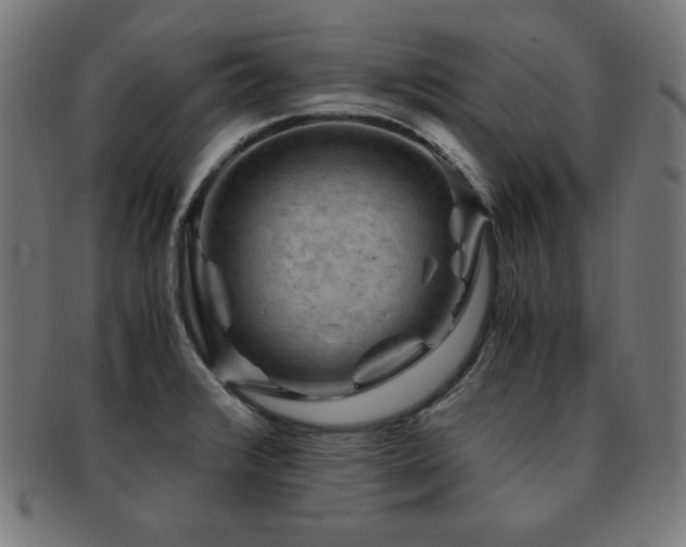 X0000091881376200709051315