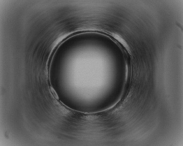 X0000091881380200709051315