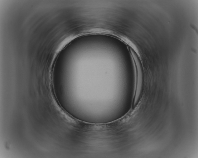 X0000091881381200709051315