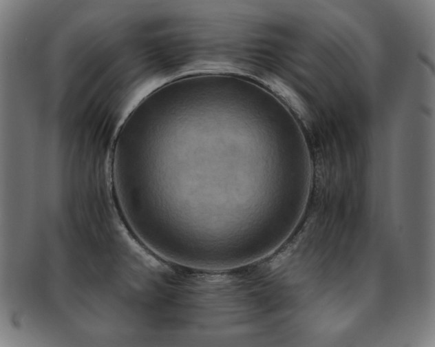 X0000091881382200709051315