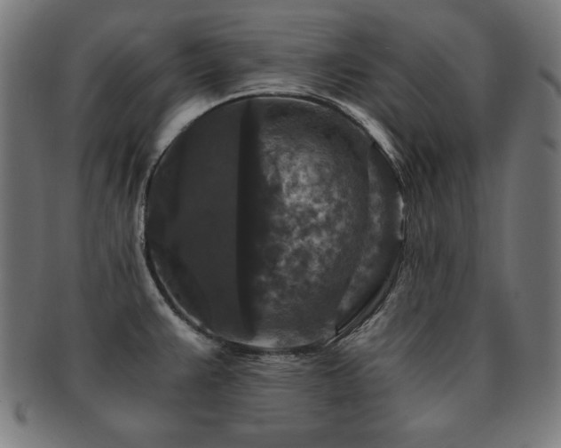 X0000091881383200709051315
