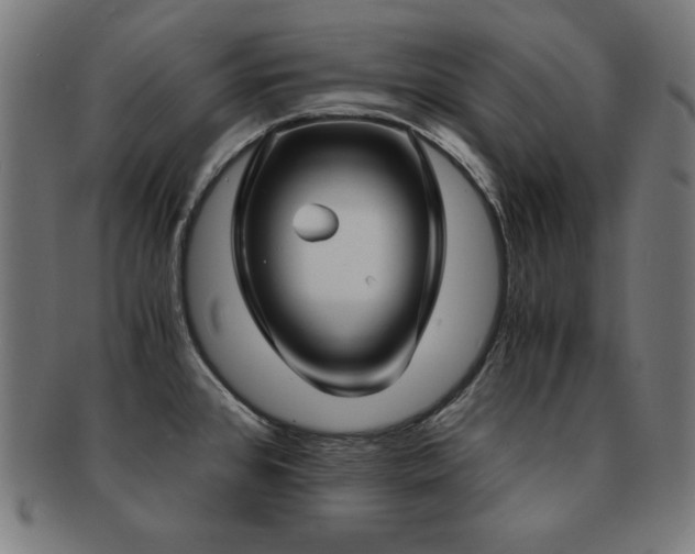 X0000091881384200709051315