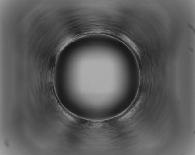 X0000091881385200709051315