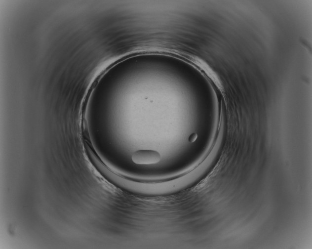 X0000091881388200709051315
