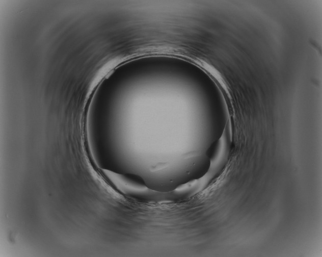 X0000091881389200709051315