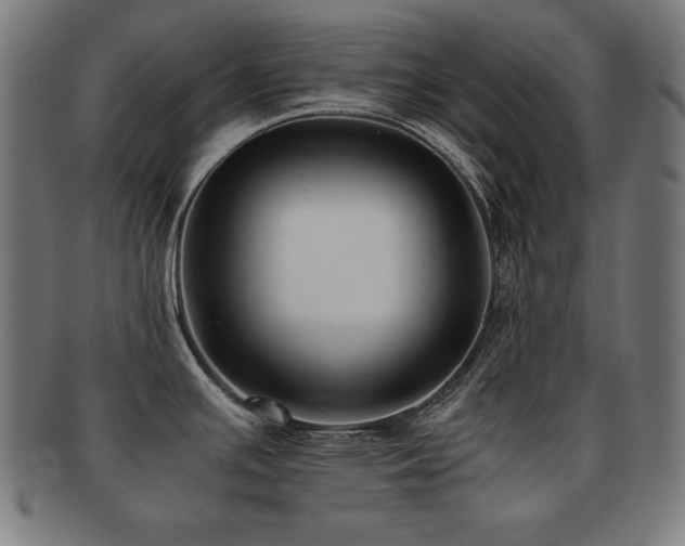 X0000091881391200709051315