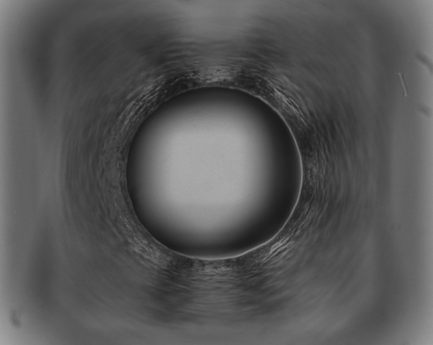X0000091881393200709051315