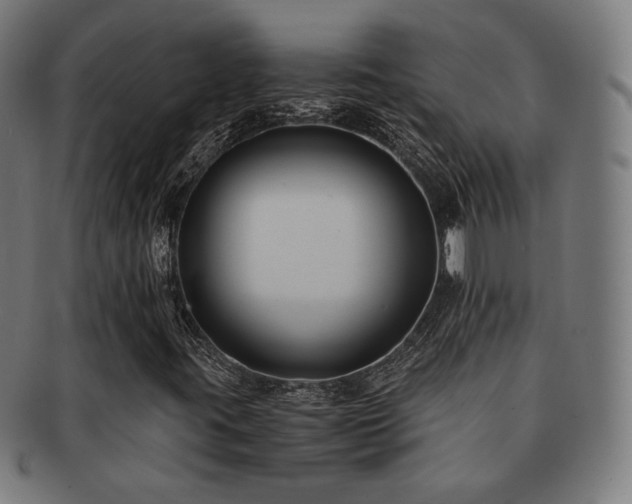 X0000091881395200709051315