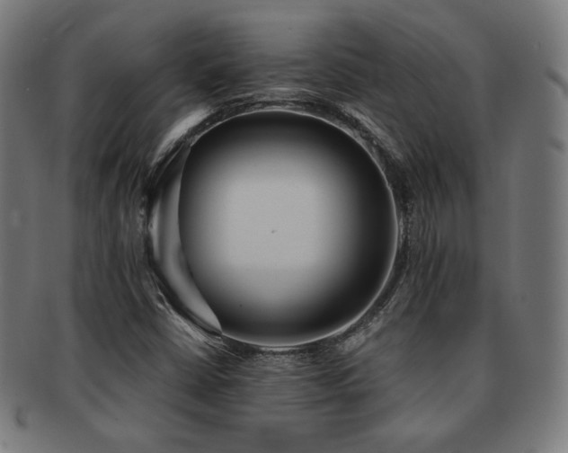 X0000091881402200709051315