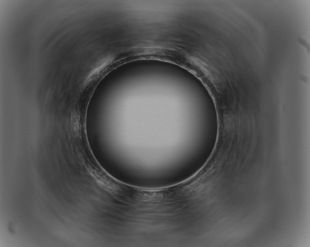 X0000091881403200709051315