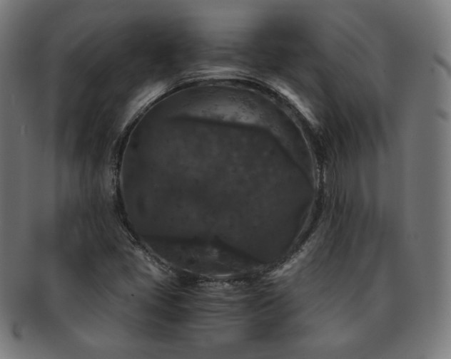 X0000091881405200709051315