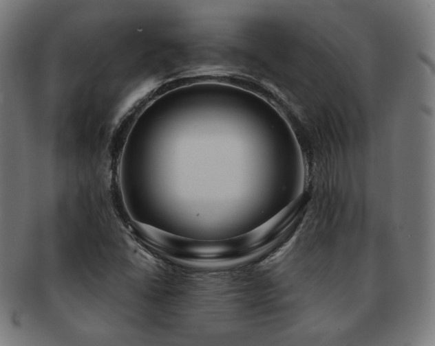 X0000091881406200709051315