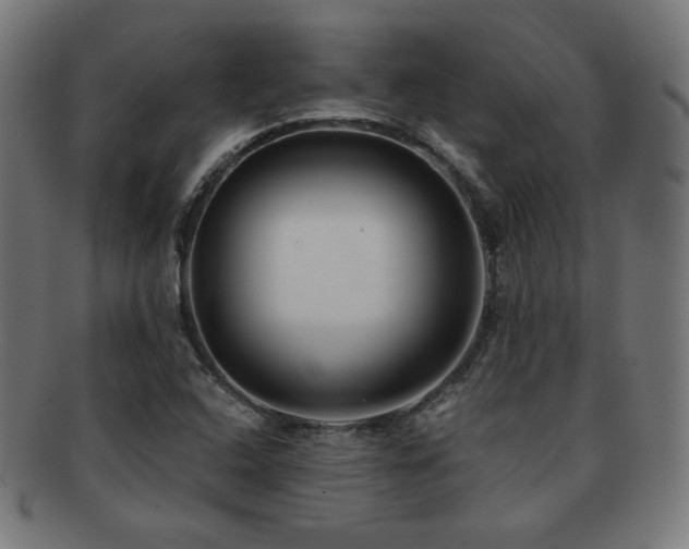 X0000091881408200709051315