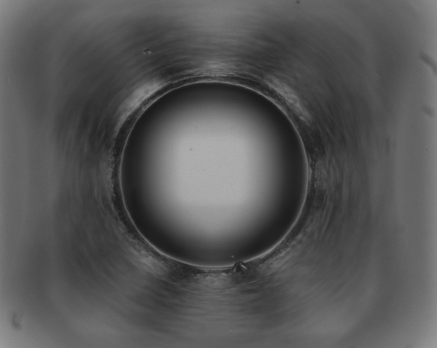 X0000091881410200709051315