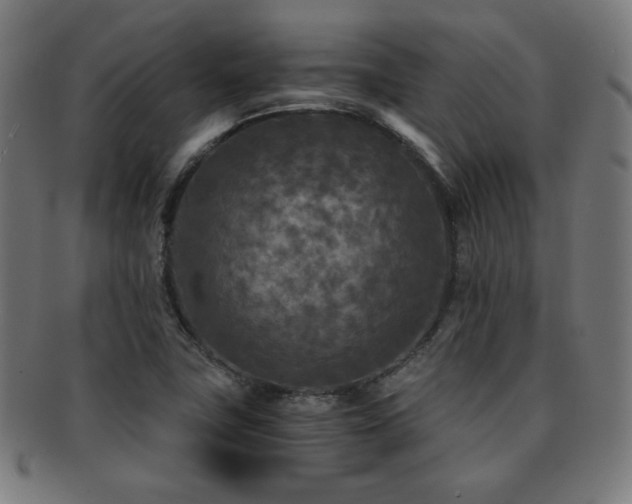 X0000091881411200709051315