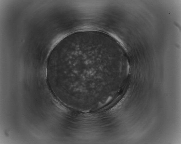 X0000091881413200709051315