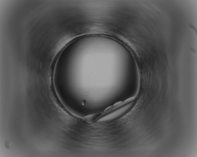 X0000091881415200709051315