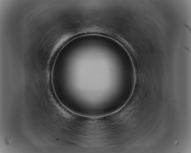 X0000091881416200709051315