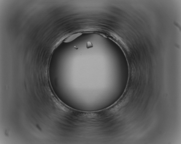 X0000091881417200709051315