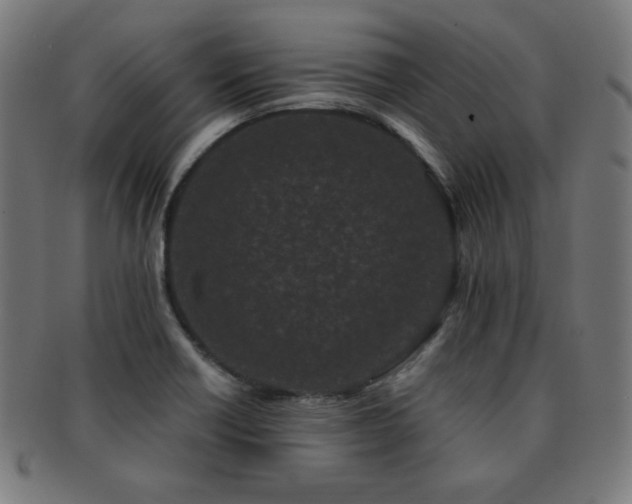 X0000091881418200709051315