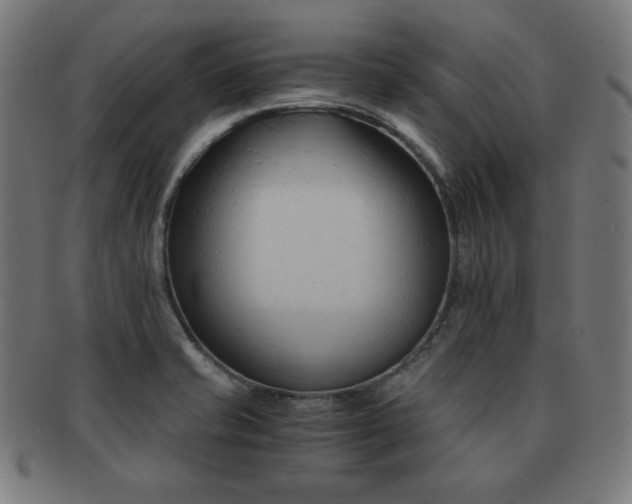 X0000091881421200709051315