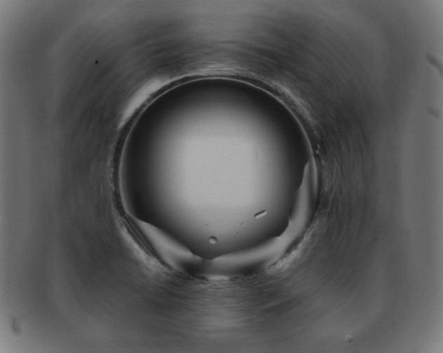 X0000091881422200709051315