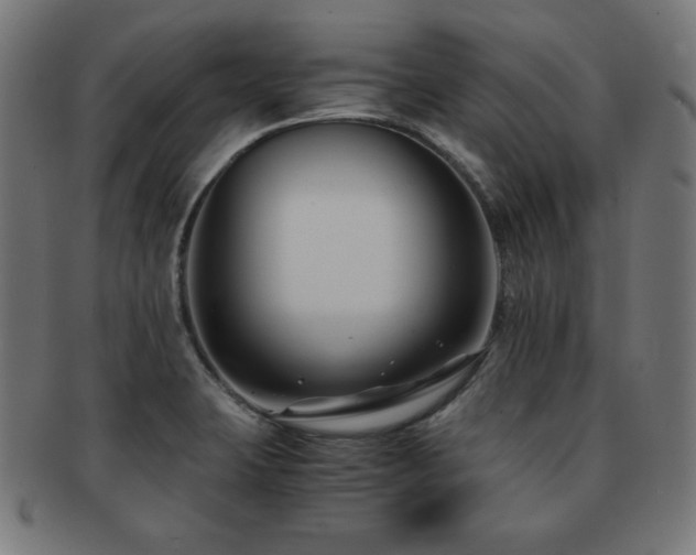 X0000091881423200709051315
